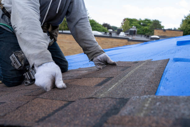 Best Storm Damage Roof Repair  in Thorndale, PA